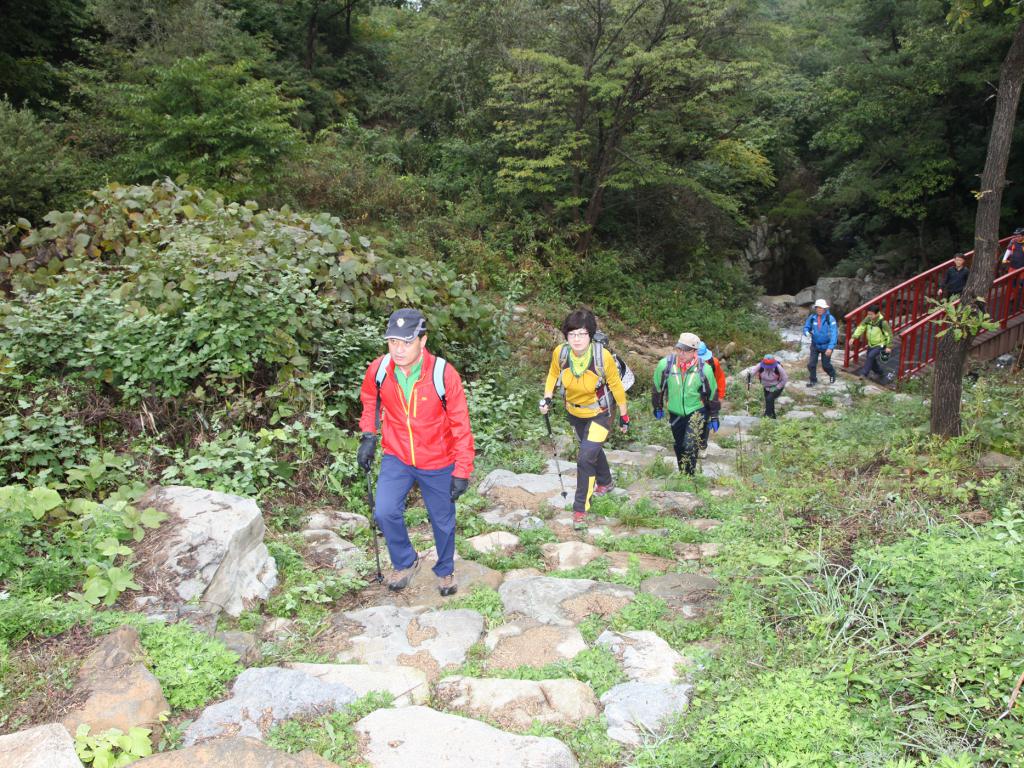2014 거창한 거창 감악산 전국 산행대회